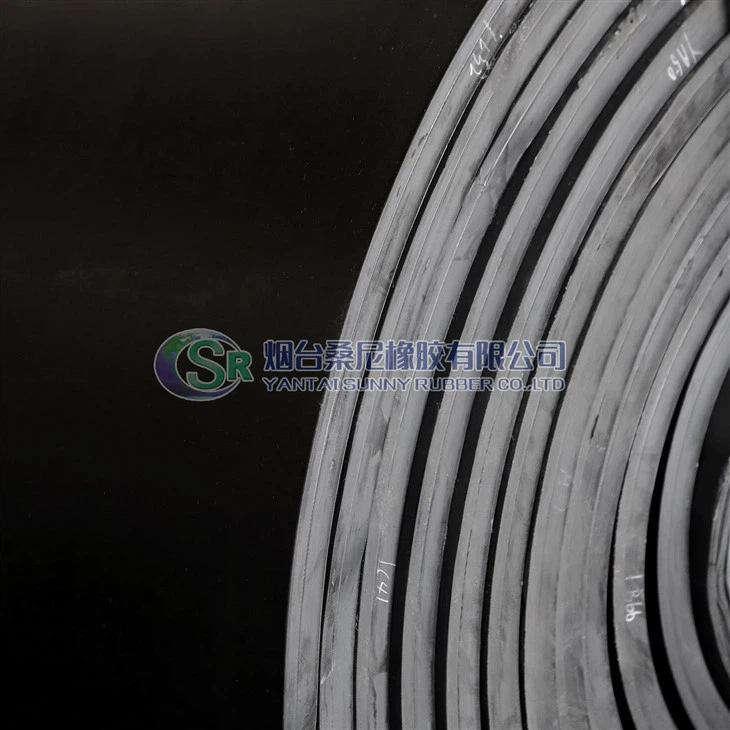 EP Industrijski pasovi Gumijasti transportni trak