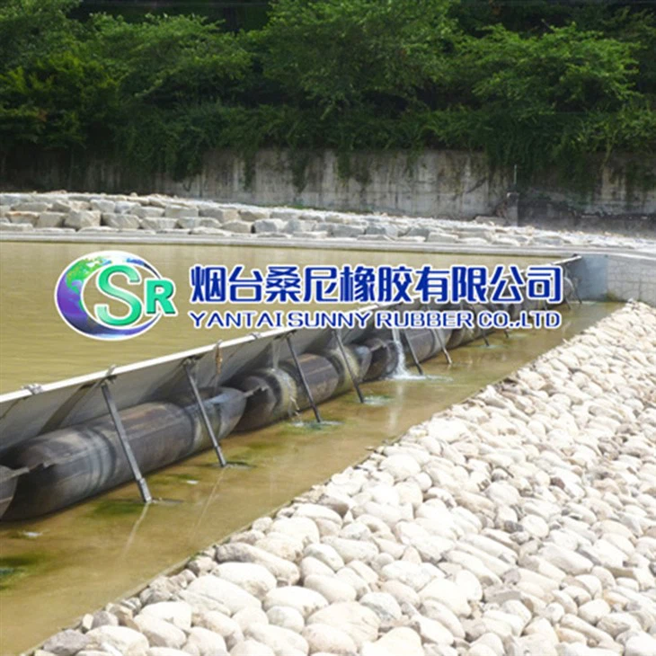 Vrata za nadzor rečnega toka/jeklena gumijasta vrata